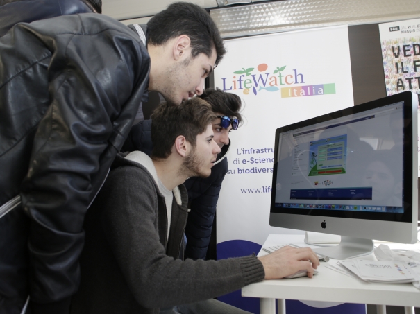 Miniatura 4 di Roadshow Lecce