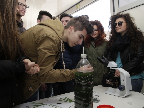 Anteprima della galleria fotografica Roadshow Lecce