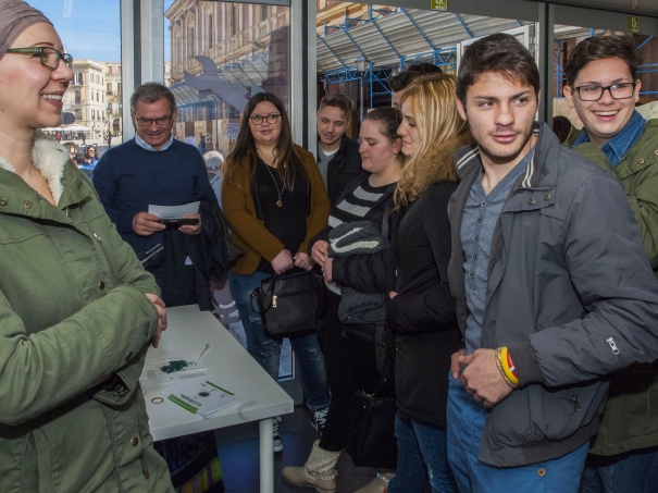 Miniatura 16 di Roadshow Bari