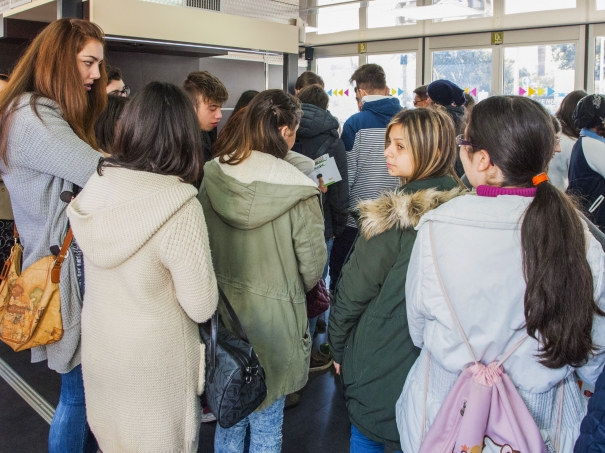 Miniatura 15 di Roadshow Bari