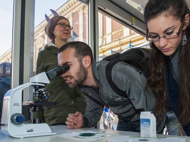Anteprima della galleria fotografica Roadshow Bari