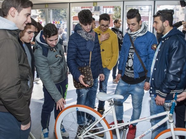 Miniatura 9 di Roadshow Barletta