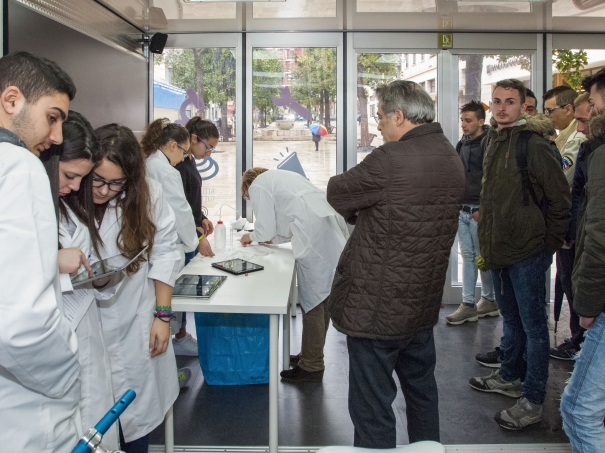 Miniatura 3 di Roadshow Brindisi