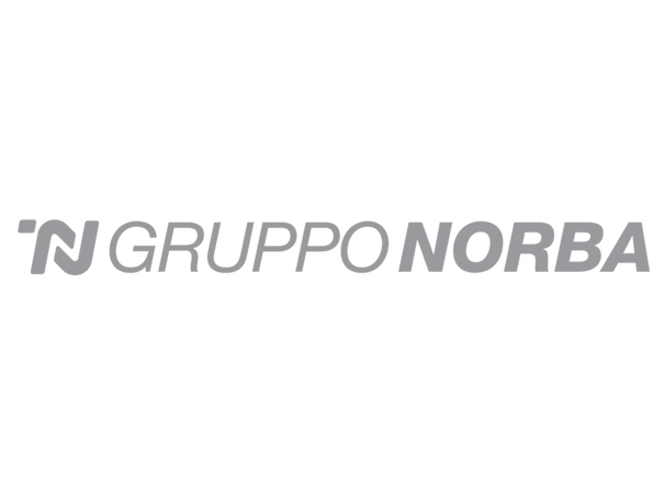 Logo del Gruppo Norba